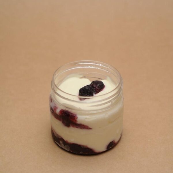 The Keto Blueberry Ice Cream Cup (3 net carbs)